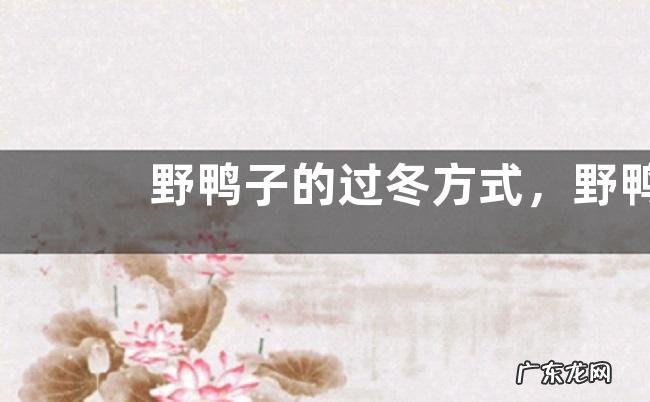 野鸭子的过冬方式,野鸭有哪些生活习性