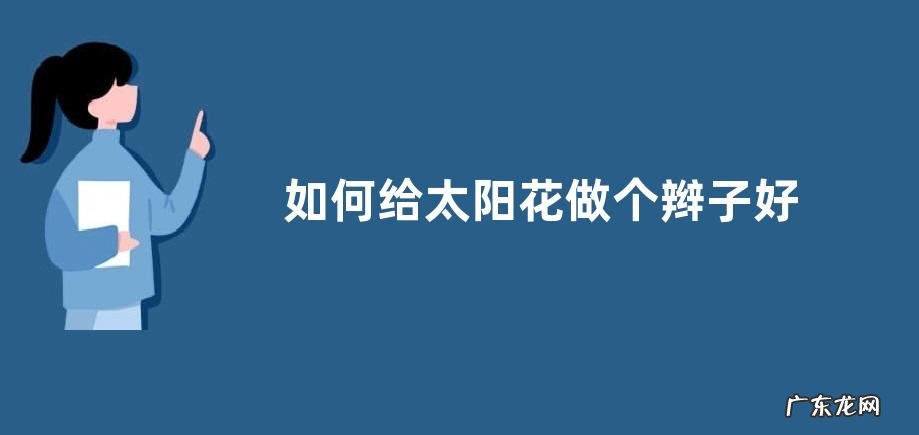 如何给太阳花做个辫子好看又好养