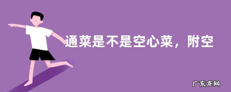通菜是不是空心菜,附空心菜的做法