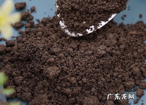 蚯蚓粪养护植物的好处