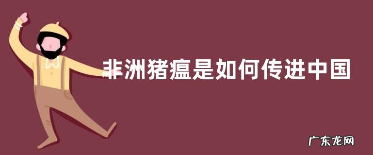非洲猪瘟是如何传进中国的,人吃了有什么后果
