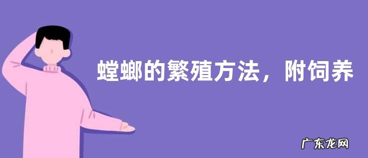 螳螂的繁殖方法,附饲养方法