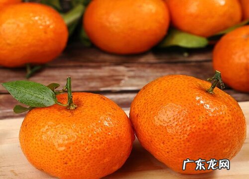 拜年买什么水果合适