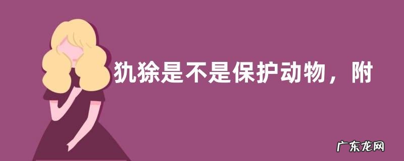 犰狳是不是保护动物,附犰狳生活习性