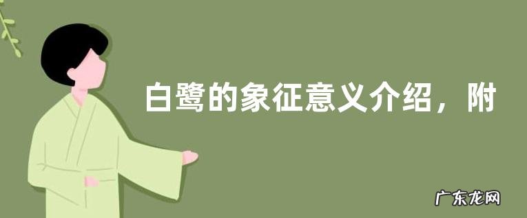 白鹭的象征意义介绍,附其分布范围