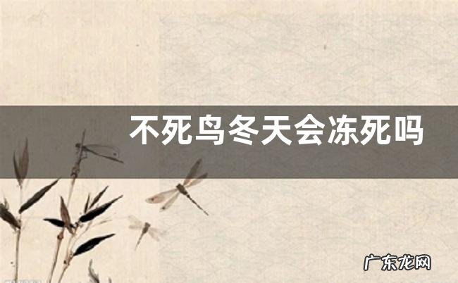 不死鸟冬天会冻死吗