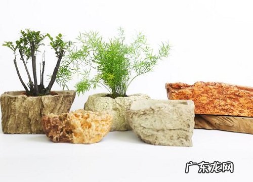 火山石花盆适合养什么花