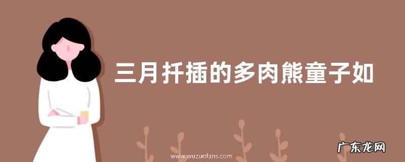 三月扦插的多肉熊童子如何养护状态好