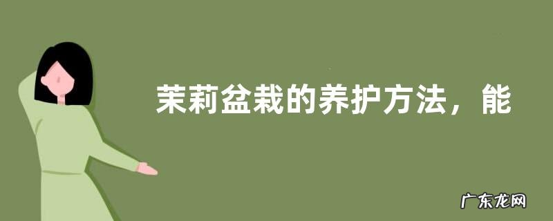 茉莉盆栽的养护方法，能否放在卧室