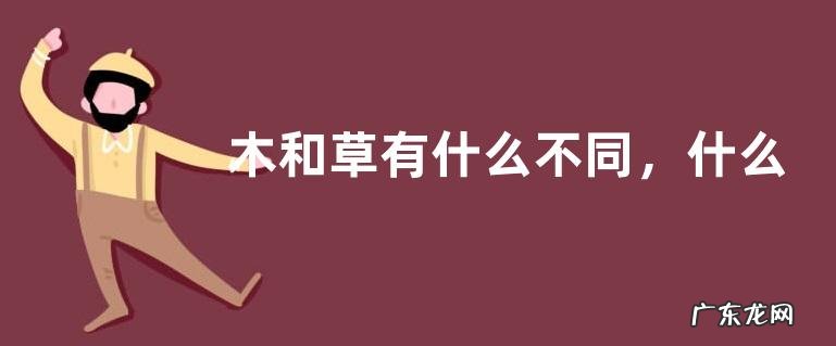 木和草有什么不同,什么是木本植物和草本植物