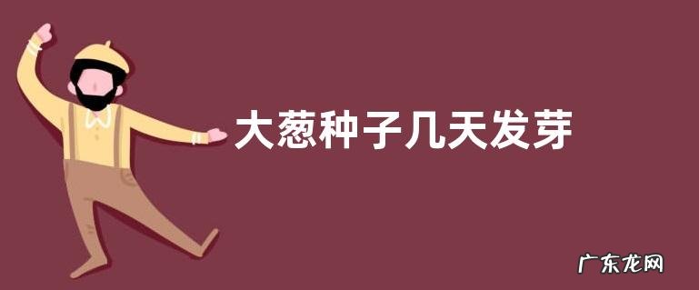 大葱种子几天发芽