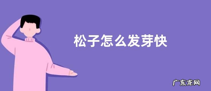 松子怎么发芽快