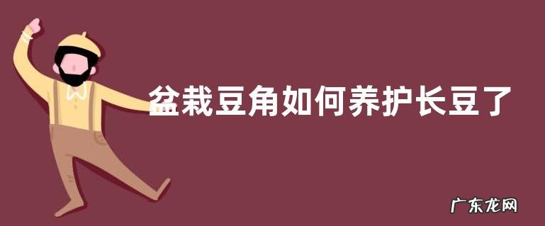 盆栽豆角如何养护长豆了