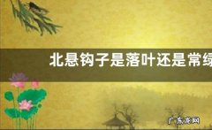北悬钩子是落叶还是常绿植物，附其种植技术