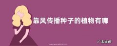 靠风传播种子的植物有哪些，关于它们的详细介绍