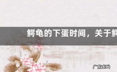 鳄龟的下蛋时间，关于鳄鱼的基本介绍
