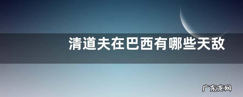 清道夫在巴西有哪些天敌，清道夫长什么样，吃什么食物