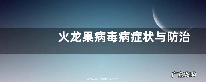 火龙果病毒病症状与防治方法
