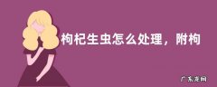 枸杞生虫怎么处理，附枸杞贮藏方法