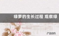 绿萝的生长过程 观察绿萝的生长变化记录