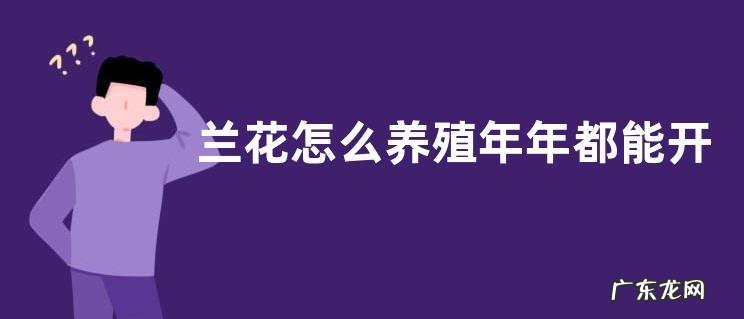 兰花怎么养殖年年都能开花