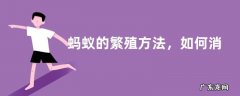 蚂蚁的繁殖方法，如何消灭蚂蚁窝