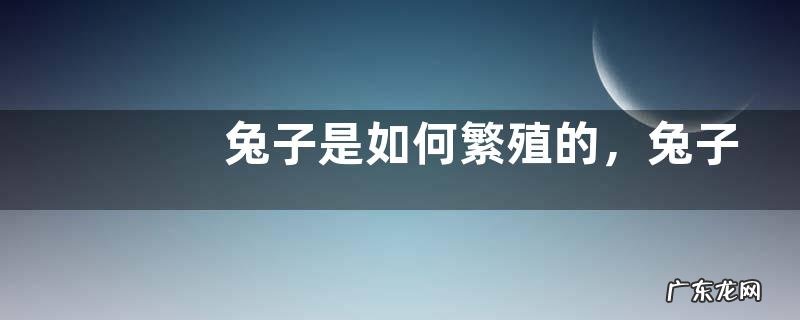 兔子是如何繁殖的，兔子是怎么养的
