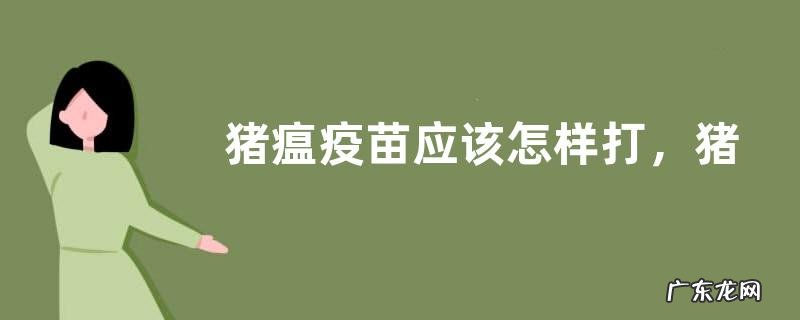猪瘟疫苗应该怎样打,猪瘟疫苗有多少种