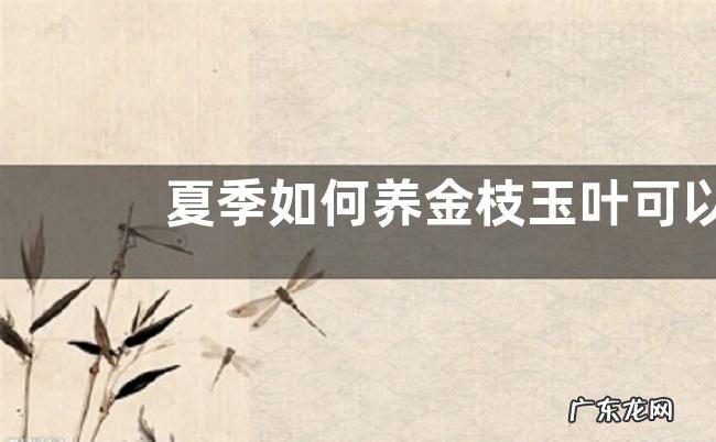 夏季如何养金枝玉叶可以安然度夏