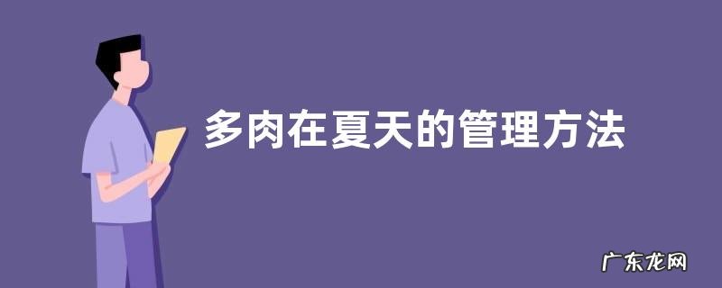 多肉在夏天的管理方法露养的多肉怎样度夏