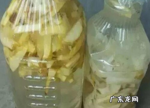 用什么水浇花都能越养越旺