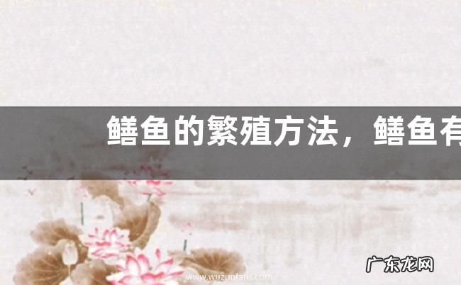 鳝鱼的繁殖方法,鳝鱼有什么营养和禁忌