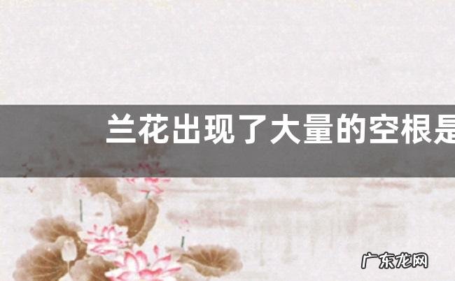 兰花出现了大量的空根是什么原因如何解决