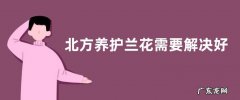 北方养护兰花需要解决好哪些问题