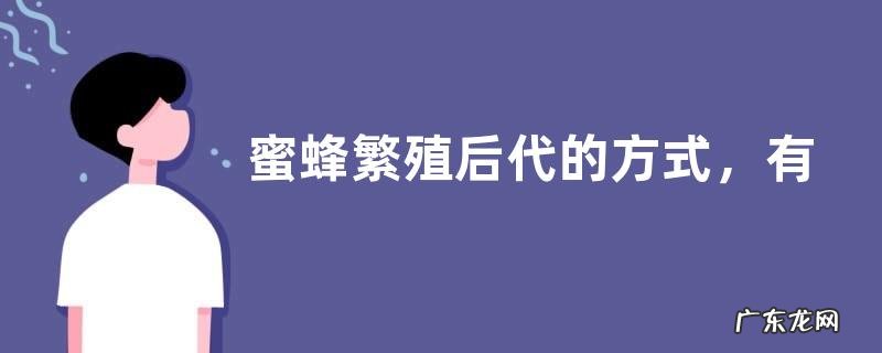 蜜蜂繁殖后代的方式,有什么养殖技巧