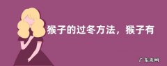 猴子的过冬方法，猴子有哪些习性
