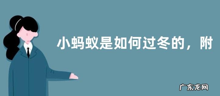 小蚂蚁是如何过冬的,附小蚂蚁的食性