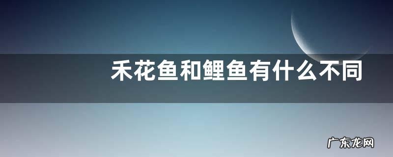 禾花鱼和鲤鱼有什么不同，附禾花鱼简介