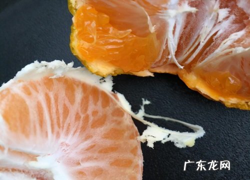 由良柑橘品种介绍 由良柑橘适宜在什么地区种植