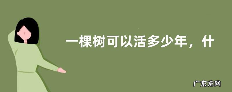 一棵树可以活多少年，什么树象征长寿