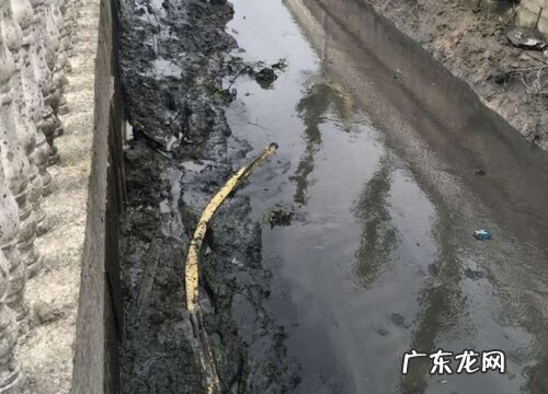 河底的淤泥可以做肥料吗