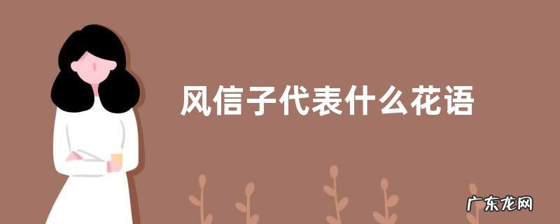风信子代表什么花语