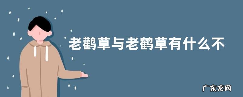老鹳草与老鹤草有什么不同，附老鹳草的繁殖方法
