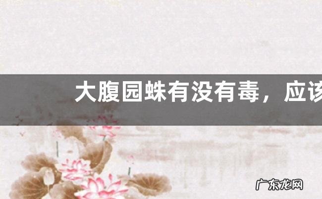 大腹园蛛有没有毒,应该怎么养