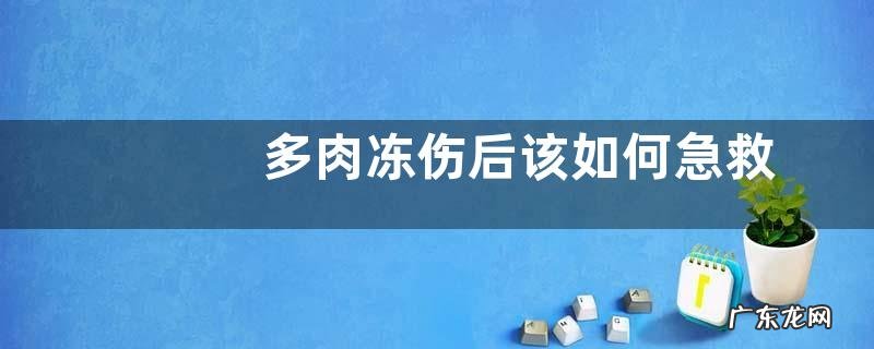 多肉冻伤后该如何急救