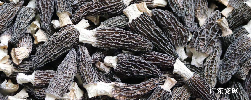 干羊肚菌一斤卖多少钱，用什么泡发方法才可以没有泥沙