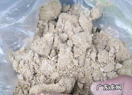 冬季如何沤饼肥水新叶蹭蹭冒