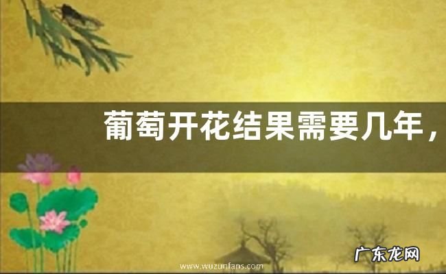 葡萄开花结果需要几年,附葡萄的栽培历史