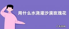 用什么水浇灌沙漠玫瑰花开满树