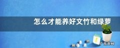 怎么才能养好文竹和绿萝